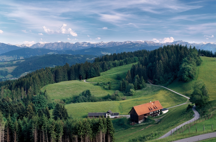 Sommerlicher Ausblick über den Bregenzerwald im Vorarlberg