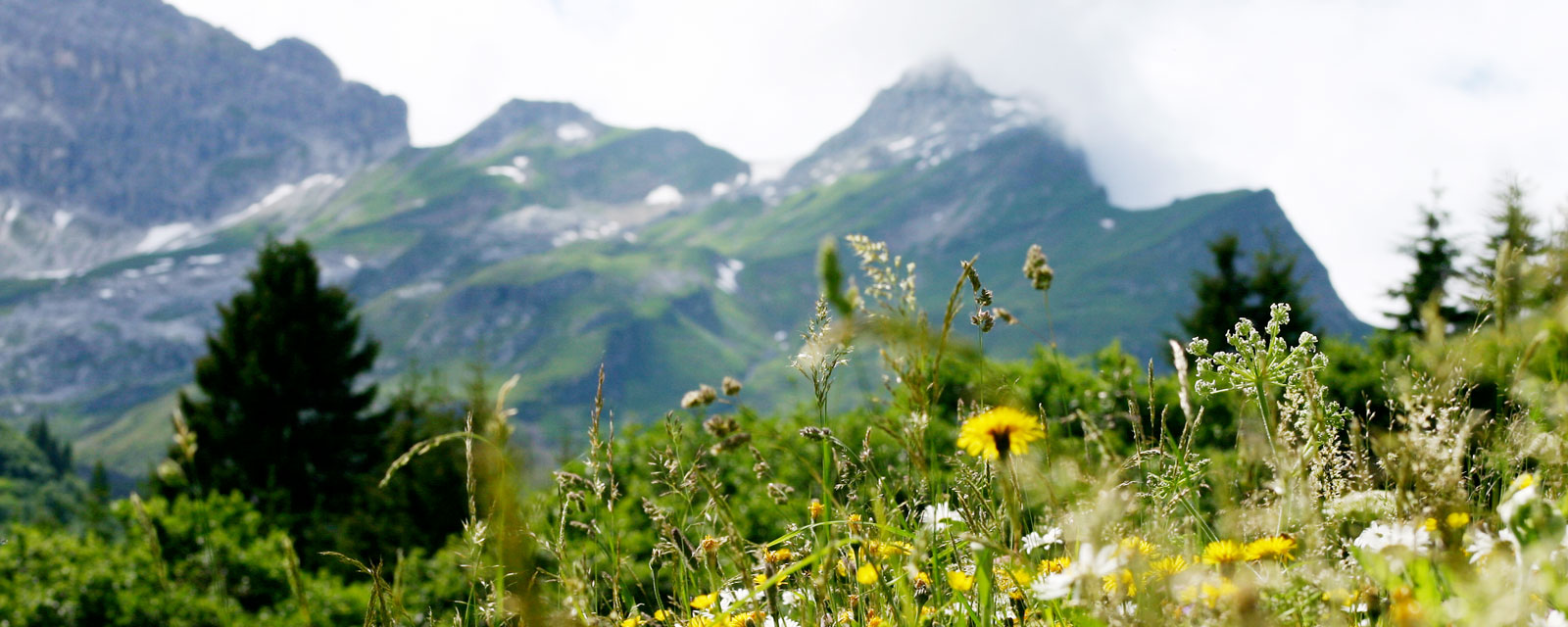 Blick auf traumhafte Bergkulisse