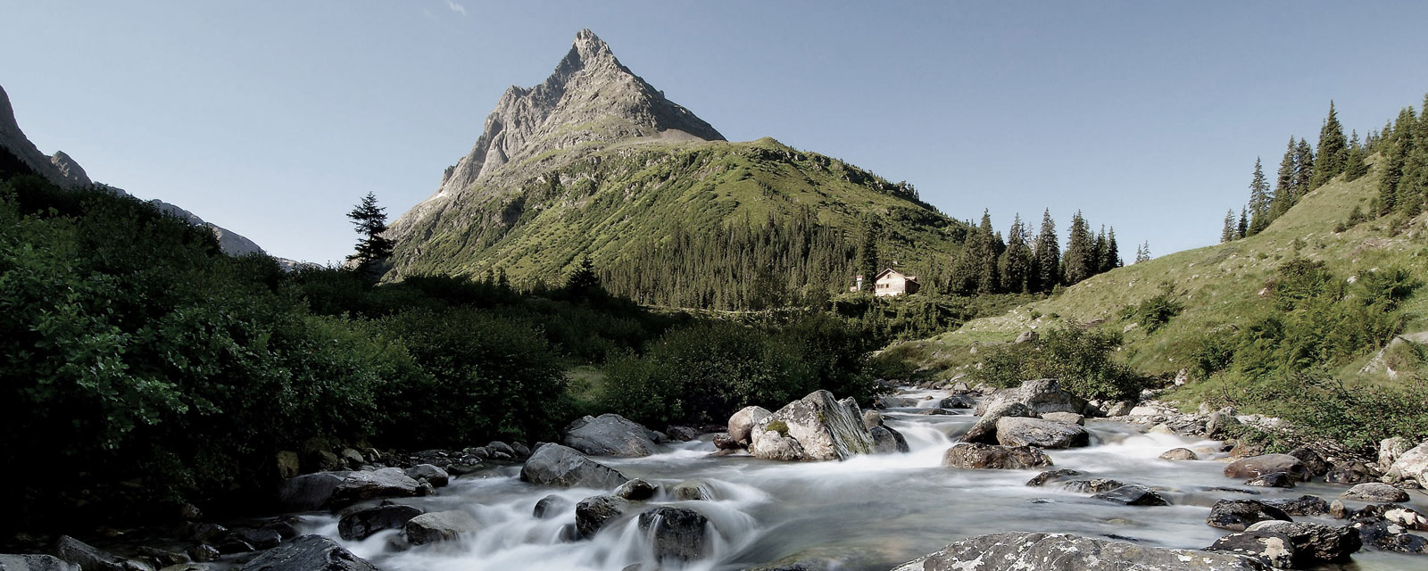 Blick auf einen grün bewachsenen Berg